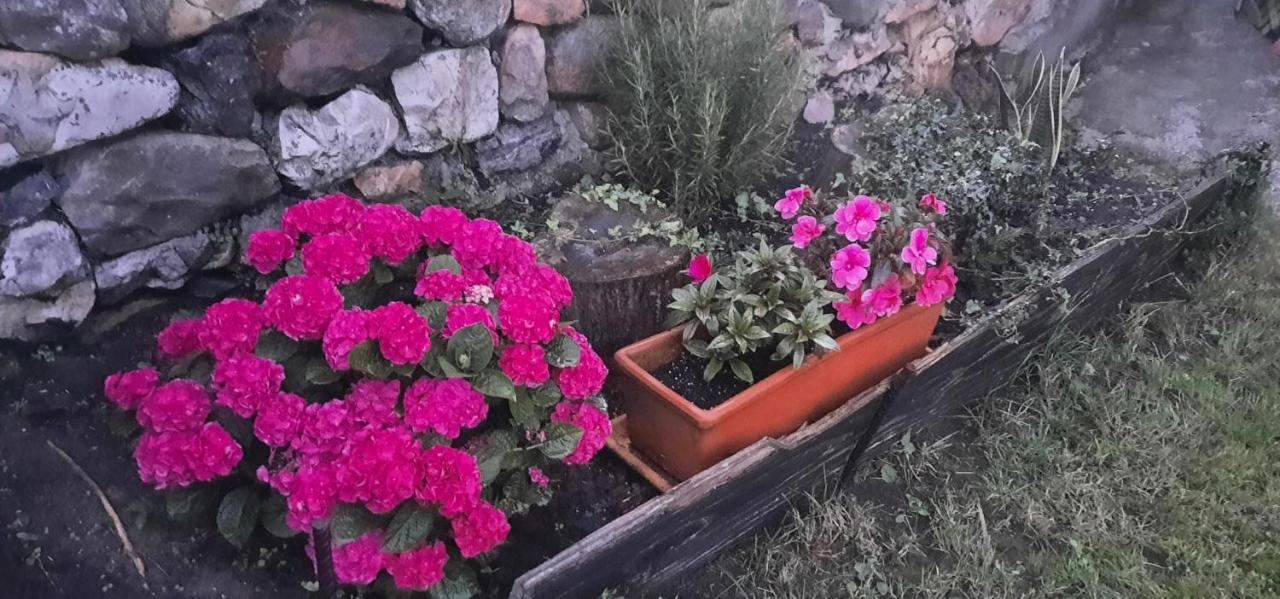 La Casa De Abajo Villa Llanes Kültér fotó
